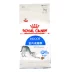 Thức ăn cho mèo Hoàng gia I27 Thức ăn cho mèo trong nhà Làm đẹp ngắn Mèo xanh Thức ăn 2kg + 2kg Thức ăn cho mèo Pet Cat 4kg - Cat Staples