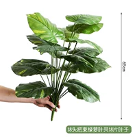 18 голов зеленых дол