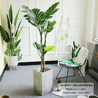 1,6 метра черепахи BAMBOO+GAO FANGPEN