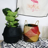 Поэзия и природа | Северная рука Tisa Blue Clothing Baseball Basic Plant Plant Basin