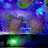 Искусственная зеленая кожа для бороды, длинная кожа для бороды, коралловая кожа, две зеленые гирлянды, кожа зеленой кожи для бороды, три зеленых кожи для новичков