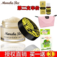 Xiaomifang Lip Tẩy tế bào chết Lip Care Scrub Facial Lipids Frosting Honey son dưỡng bioderma chính hãng