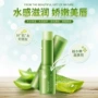 Mùa xuân đích thực aloe vera dưỡng ẩm lip balm lip chăm sóc giữ ẩm phai lip dòng chống khô nứt cọ xát nam giới và phụ nữ tẩy tế bào chết môi innisfree