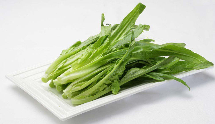 名称:四季油麦菜 科属:菊科莴苣属 品种介绍:该品