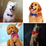 Ошейник для собачьего галстука плитка для домашних животных, кошки, кошки, золотая мосамайя фаната Dou Diy