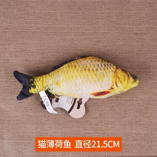 Кошка снабжает кошка, игрушка, кошка, кроличьи мяч, палочка мыши, дразнящая кошачья палочка, кошачий столб, цвет волос индейки