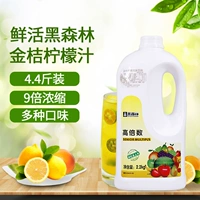 Свежий шварцвальд Kumquat лимонный сок 9 раз пить сырье для питья 2,2 кг концентрированного фруктового сока Коммерческое молочное чай