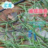 Ян Чжи клапан 4 дополнительный через резьбовой клапан шелк 16 капель