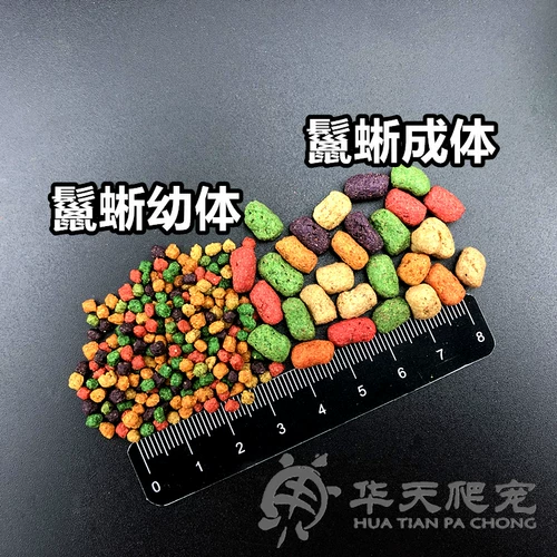 Американские оригинальные личинки для репутации/ящерица, ящерица/грива ящерица кормля