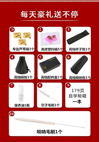 Профессиональные музыкальные инструменты, маленький мегафон, полный комплект