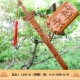 120см Shuanglong Sword (подлинная кондор персич дерево)