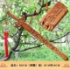 85 -сантиметровый меч Шуанлонг (подлинная кондор персич дерево)
