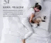[Tại chỗ] Xiaopei pet nguồn cung cấp con mèo và con chó nhu yếu phẩm hàng ngày nệm mèo ngủ mat dog sâu ngủ nệm Dụng cụ ăn uống Chó mèo Cat / Dog hàng ngày Neccessities
