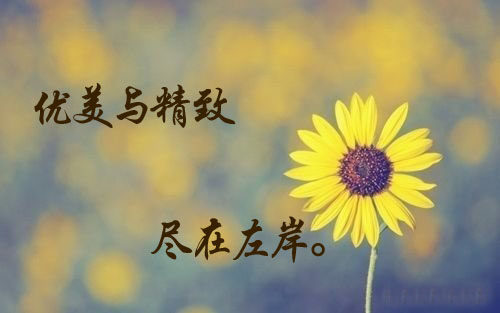 Accessoire coiffure - Ref 1201465 Image 4