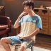 Đồ ngủ của nam giới mùa hè cotton mỏng quần short nam thanh niên ngắn tay Hàn Quốc giản dị và thoải mái phục vụ tại nhà bộ đồ hai mảnh - Giống cái
