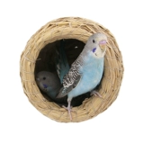 Травяная птичья гнездо крупное гнездо пейс -попугай