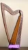 Nhạc cụ nhập khẩu tại Anh harp 22 dây Harp Ailen Celtic đàn hạc cầm tay đàn hạc nhỏ - Nhạc cụ phương Tây