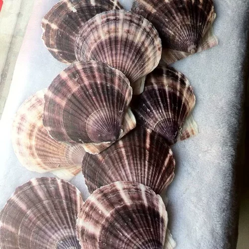 Натуральный сиреневый реквизит для фотографии, аквариум, домашний декор