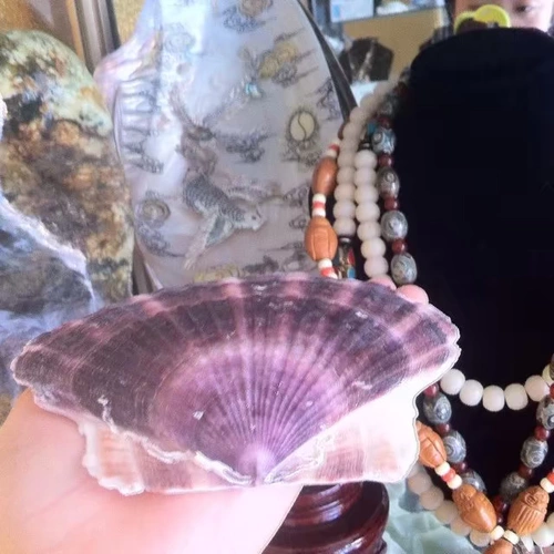 Натуральный сиреневый реквизит для фотографии, аквариум, домашний декор