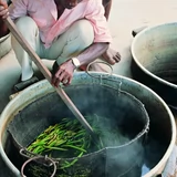 Foods -Ванильные капсулы, новая Гвинея, продуцируемая в Daxi Varieties частной домашней выпечка ванильной семейства ванили.