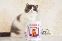 Phát triển kho báu mèo với công thức toàn bộ ruột để điều hòa dạ dày và ruột Bảo Bảo khuyến mãi tiêu hóa đặc biệt 350g chính hãng - Cat / Dog Health bổ sung sữa precaten