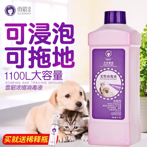 Дезинфекция Disinfection Disinfection Disinfection Sweet Pet.