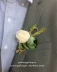 Tiệc cưới Boutonniere Chú rể Phù rể Green White Sen Mô phỏng Hoa hồng Hoa lụa Trâm - Trâm cài trâm hoa cài áo Trâm cài