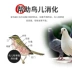 Cao Canxi Budgerigar Pigeon Sức khỏe Cát Sức khỏe Thư Thư Pigeon Pigeon Cung cấp thức ăn cho chim Thức ăn cho chim bồ câu - Chim & Chăm sóc chim Supplies