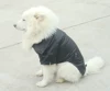 Товары от 宠物宝贝2011