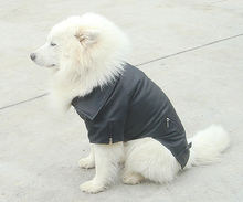Одежда для домашних животных Весна Осень Зима Одежда для собак Бульдог Баго Большой Пес