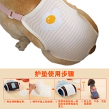 Короткие хвостами физиологические брюки брюки брюки Менструальные фальшивые домашние животные тетя контрацептивность