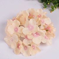 Цвета шампанского