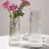 Bộ 3 bình thủy tinh sáng tạo đơn giản thủy canh cây xanh hoa bạc liễu tuyết liễu phú quý bình hoa trang trí 