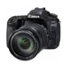 Máy ảnh kỹ thuật số Canon Canon EOS 80D (18-135mm) Máy ảnh kỹ thuật số Canon 80D chính hãng - SLR kỹ thuật số chuyên nghiệp máy ảnh kỹ thuật số giá rẻ SLR kỹ thuật số chuyên nghiệp