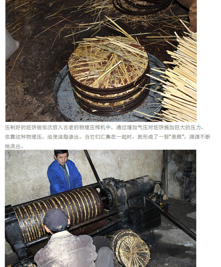 横峰食品加工：传统工艺与现代科技融合发展