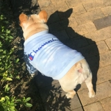 Оригинальная утепленная бархатная утепленная толстовка, делается под заказ