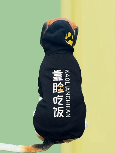 Большая собака Золотая накачанная хриплая средняя средняя крупная одежда для собак и бархат осенью и зимой