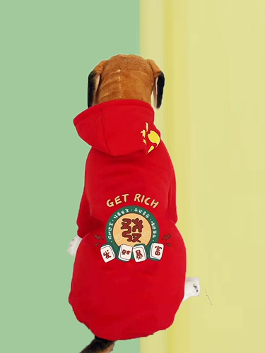 Большая собака Золотая накачанная хриплая средняя средняя крупная одежда для собак и бархат осенью и зимой