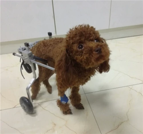 Собачья инвалидная коляска инвалидная коляска инвалида -коляска для собак -скутер парализован