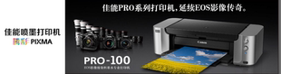 CANON キヤノン PRO100 A3ノビ判インクジェットフォトプリンター PRO-100 全国保証