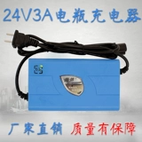Электрическое зарядное устройство для парков развлечений, 24v, 3A, 12v