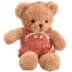 Dễ thương ôm gấu búp bê gấu bông búp bê sang trọng đồ chơi kèn cô gái ngủ với gấu búp bê quà tặng - Đồ chơi mềm