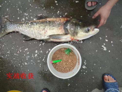 Старый кошачий рыбалка летающий крючок, крючок для винограда, взрывной крючок нижняя рыбацкая карпа трава зеленая плавающая рыбацкая головка