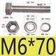 M6*70 (10)
