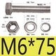 M6*75 (10)