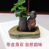 Оригинальный каменный мини -мини -мини -миниму Сюй Гонгсуан
