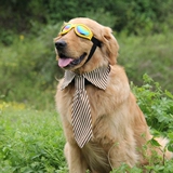 Галстук-бабочка, чокер с бантиком, галстук, шарф, аксессуары, домашний питомец