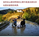 [Yamili Lily] Rouge Rouge Red Rice Guizhou
