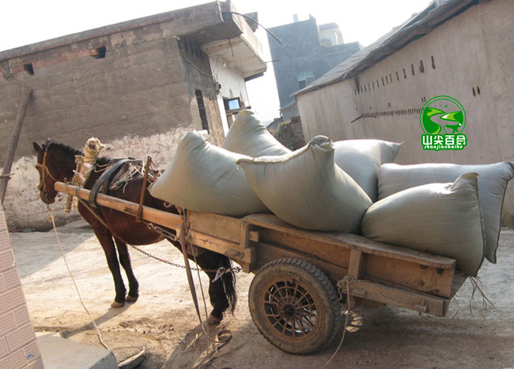 运输  山路崎岖,车开不进去,只能用马车拖到镇上再上车,就这样一车一