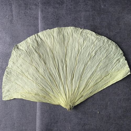 Натуральный лист лотоса 0 Добавить свежий лист лотоса, лист лотоса подлинные лист лотоса нарезанный лист лотоса 500G